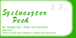 szilveszter pech business card